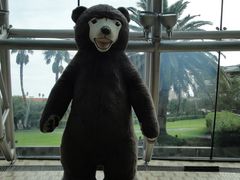 -济州岛泰迪熊博物馆