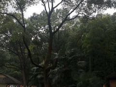 -韶山毛泽东同志故居