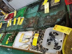 -鸿达渔港