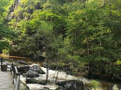 -汤旺河林海奇石景区