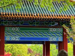 -阅江楼风景区