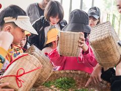 -i2青少儿英语(爱加星悦荟店)