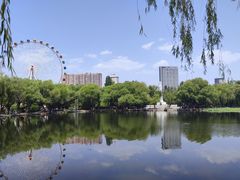 -青城公园