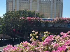 -厦门途易蓝罗约海景温泉酒店(园博苑地铁站店)