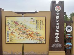 -金塔沙漠胡杨林景区