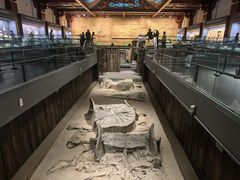 -北京大葆台遗址博物馆