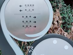 -桤木河湿地公园