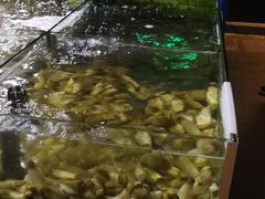 -国际金钻海鲜餐厅