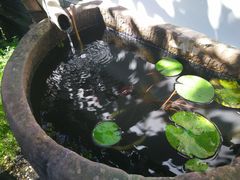 -慢丽江·云南野生菌土鸡锅(西山店)