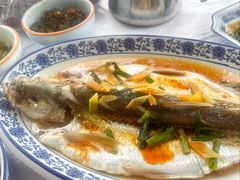 清蒸白水鱼-洞天食府(北大街店)