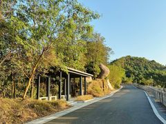 -阳台山森林公园