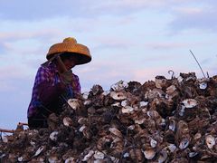 景观位-蚝乡农庄(铁涌赤岸店)