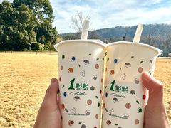 -西湖外事游船(花港观鱼码头)