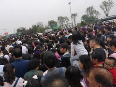 导游图-成都大熊猫繁育研究基地