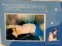 -纳吉亚猫专科动物医院·北北分院