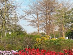 -二沙岛艺术公园