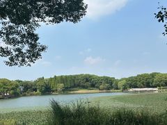 -新洲生态园