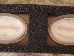 -哈根达斯(陆家浜路店)