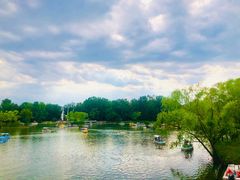 -朝阳公园游乐园