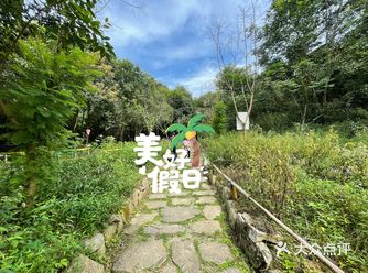 周末遛娃｜寻找森林里的萤火虫