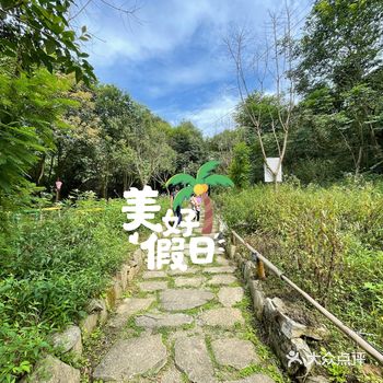 周末遛娃｜寻找森林里的萤火虫