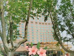 -南京维景国际大酒店(南京博物院店)