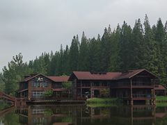 -黄海国家森林公园