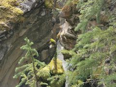 -阿萨巴斯卡瀑布观景点