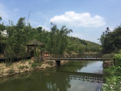 -沐川竹海旅游景区