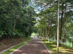 -大屏嶂森林公园