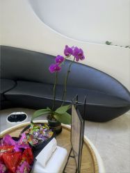 点击看大图 -VE专注问题肌·赛诺龙&科学美肤中心