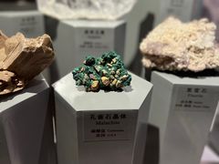 -正佳自然科学博物馆