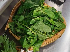 薄荷-生活如沸·顺德水牛奶火锅(大学路店)