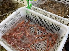-华源餐厅·海鲜大排档(日月贝店)