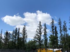 -前小桔亲子创意农场·草莓采摘·露营烧烤