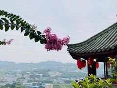 -枇杷园食为鲜火锅(南山店)