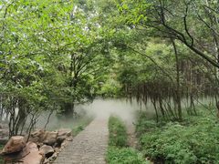-帽儿山风景区