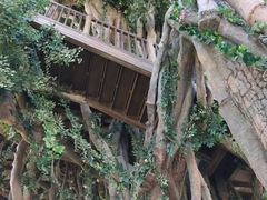 -云漫湖生态度假公园