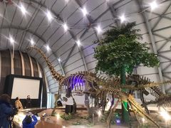 -辽宁古生物博物馆