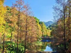 -云溪植物园