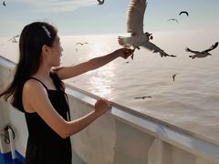 -海驴岛(荣成市)