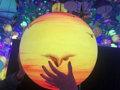 -苏州5D星空错觉艺术馆