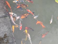 -中国宣纸文化园