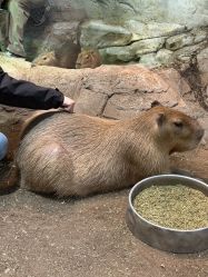 -Zoolung Zoolung动物主题公园(海信广场店)