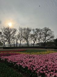 -玄武湖景区-情侣园游乐场