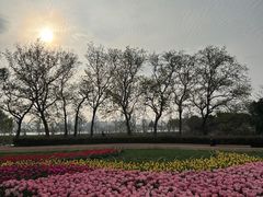 -玄武湖景区-情侣园游乐场