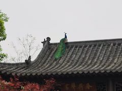 -武汉园博园(武汉自然博物馆)