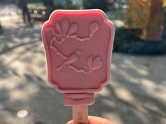 -广州长隆飞鸟乐园