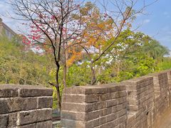 -求水山公园