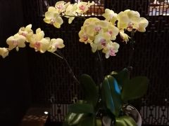 -丽晶轩中餐厅(重庆丽晶酒店)